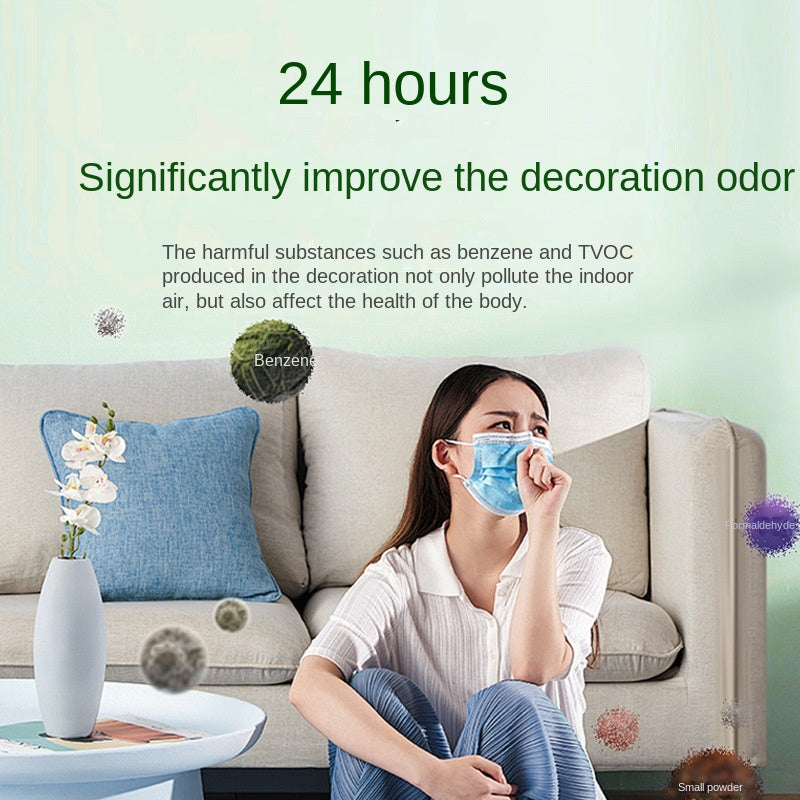 Formaldehyde Removal Jelly New House Household Odor Removal Agent Powerful Air Purifier Magic Box Artifact Decoration